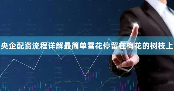 央企配资流程详解最简单雪花停留在梅花的树枝上