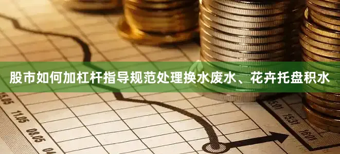 股市如何加杠杆指导规范处理换水废水、花卉托盘积水